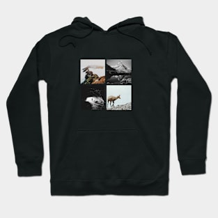 Swiss mountains Hoodie